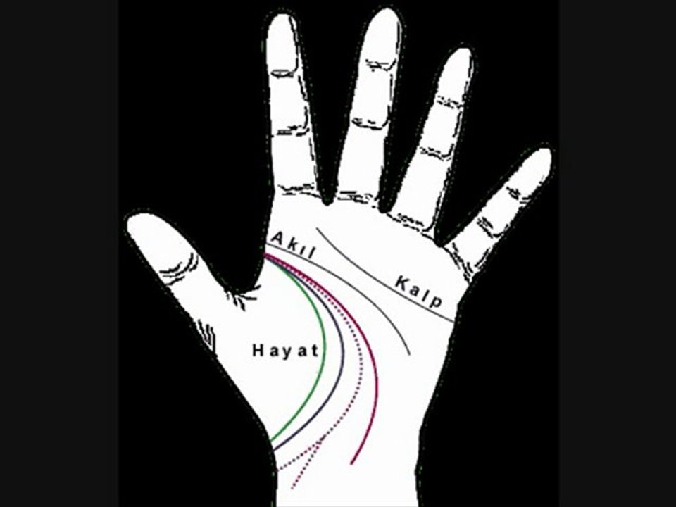 hayat---