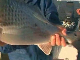 Tour of Georgia fishing with Scott Owens