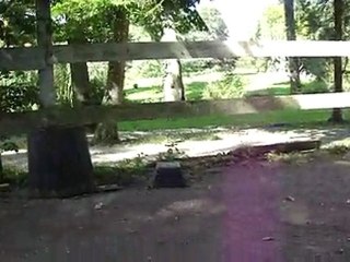 Apprentissage : sauter un obstacle plein avec perle.