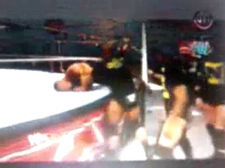 Debut de match qui se fini par Nexus vs Team WWE