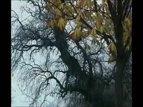 SORDUM SARI ÇİÇEĞE- müziksiz ilahi