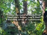 Belize Properties - Incredible Views