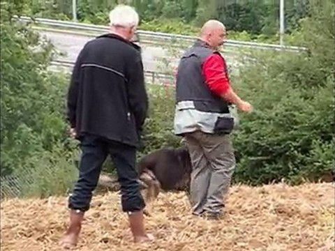 ayrton des orckis de l'adret : piste du 16 aout 2010