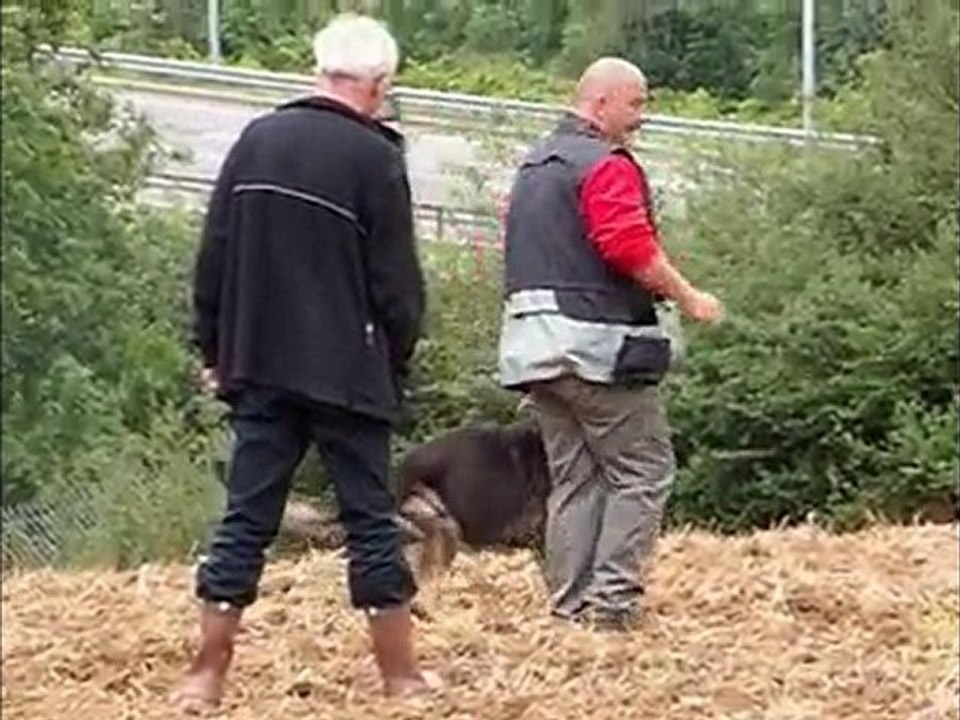 ayrton des orckis de l'adret : piste du 16 aout 2010