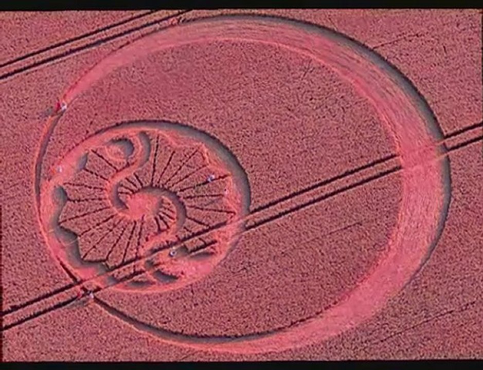 Crop circle Stanton Bridge, Wiltshire 8 août 2010