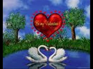 DARGINIM YALAN SÖZLERE