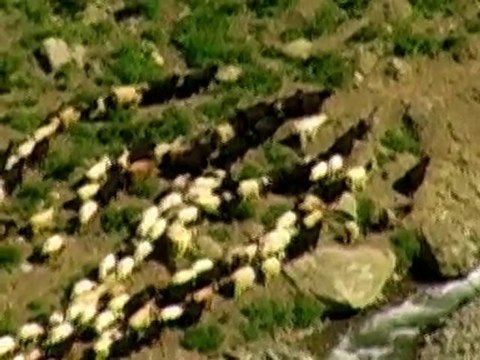 Meydanbelek yaylası