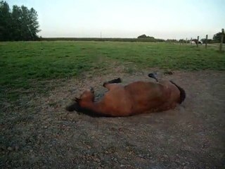 Kéops - Et une roulade, une! Mais dans la terre SVP!
