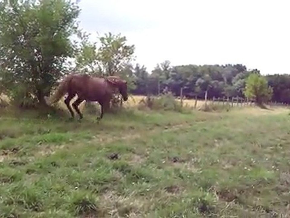 Dakota galope autour de moi