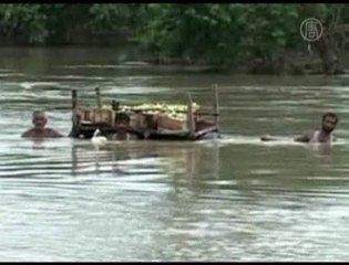 Download Video: Pakistan Floods Destroy Crops, Costing Billions