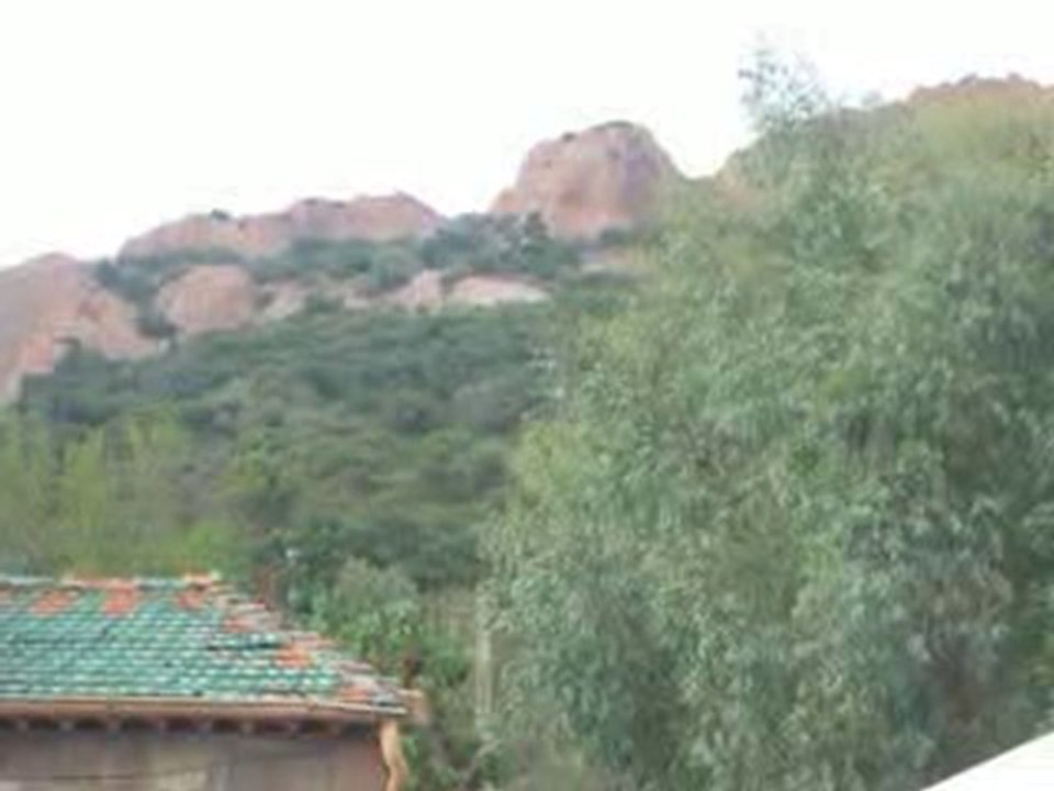 VACANCE  2010