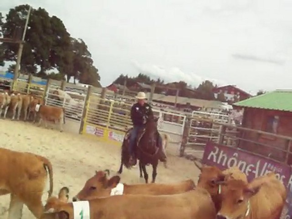 st agreve    2010 182