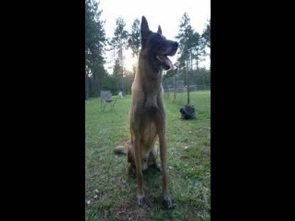 SELONGEY EN DEHORS DU TERRAIN