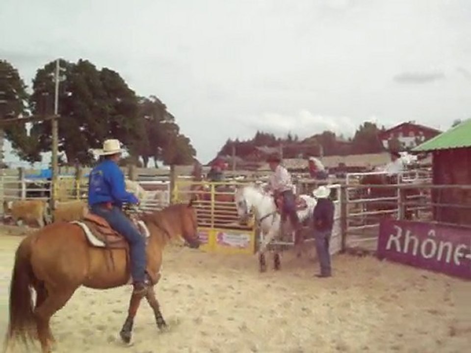 st agreve    2010 183