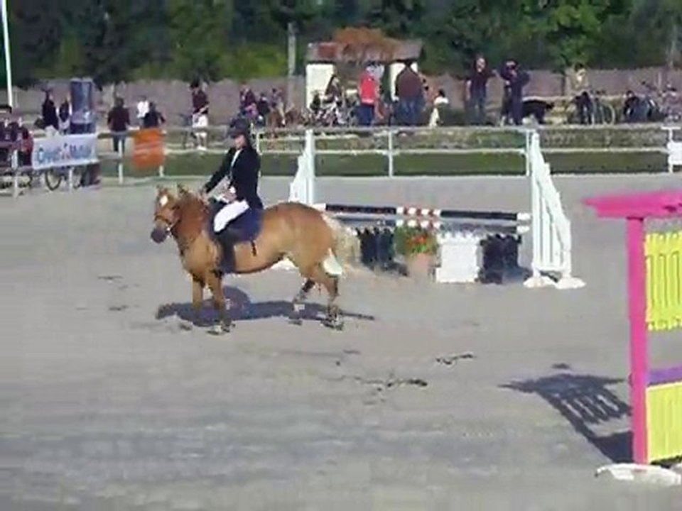 anne sophie et lisa falkin E4p sologn pony 2010