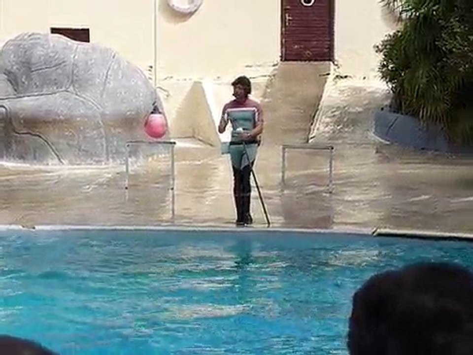 spectacle d'otarie au zoo de pont scorff du 19/08/2010