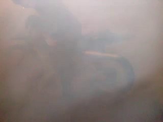 dt hornet burn 3 pierro