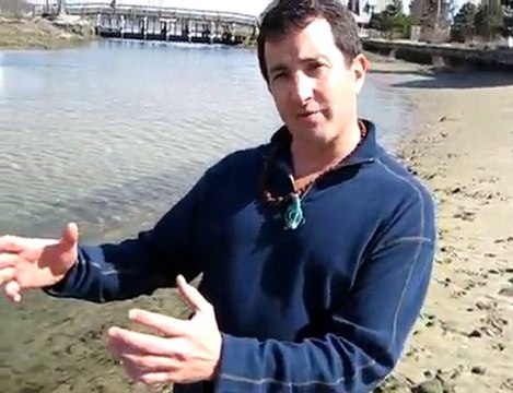 Psychologist, Consultant, & Business Coach - dr brett denki