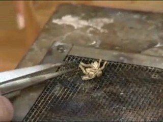 MÜCEVHER TASARIM VE KUYUMCULUK OKULU-2-