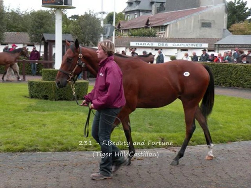 Deauville 150810-VENTES
