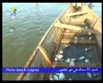 PECHE DANS LE LOGONE DU 21/08/2010 PAR TOL TV