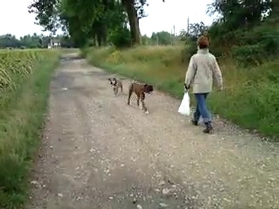 MOV00573