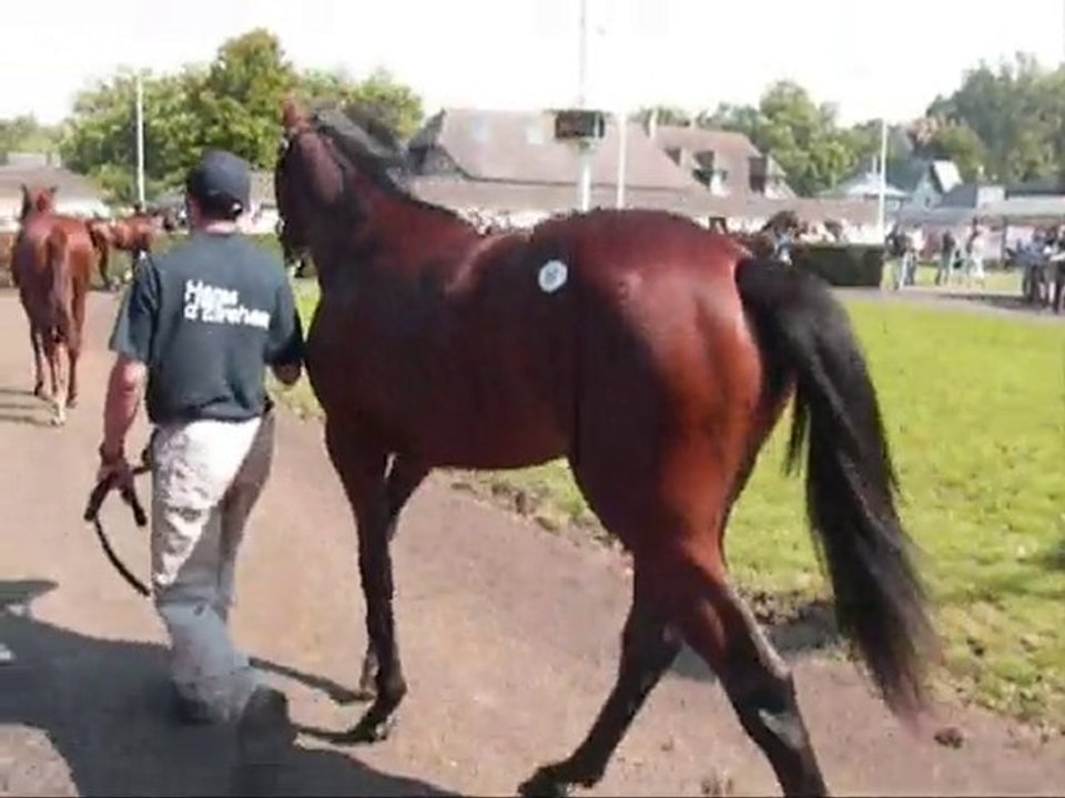 Deauville 160810-VENTES