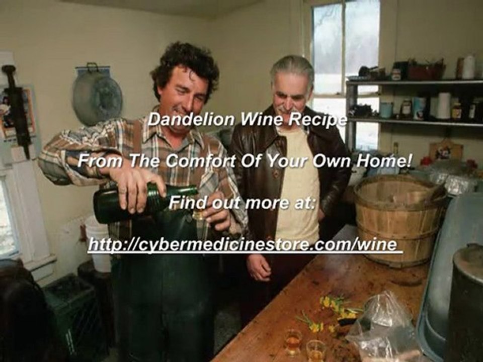 Dandelion Wine Recipe From The Comfort Of Your Own Home