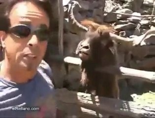 Antalya ev taşıma 0224 329 40 41