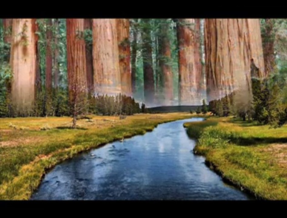 ZEKİ MÜREN - BİR YANGININ KÜLÜNÜ