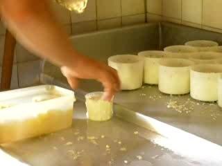 fabrication du fromage