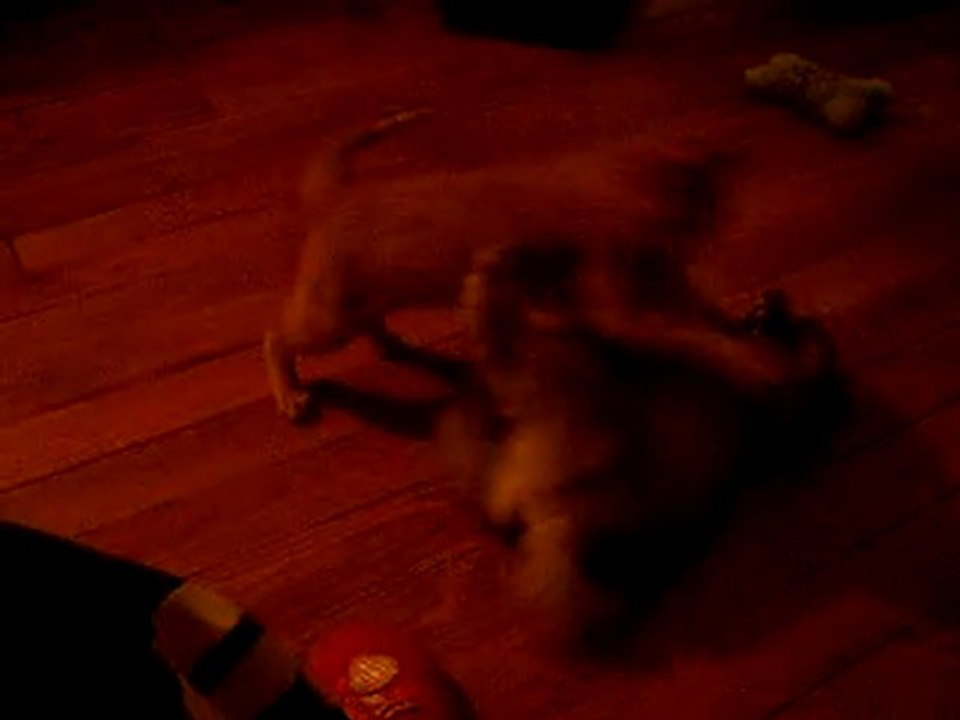 Catch partie Donuts & Clyde