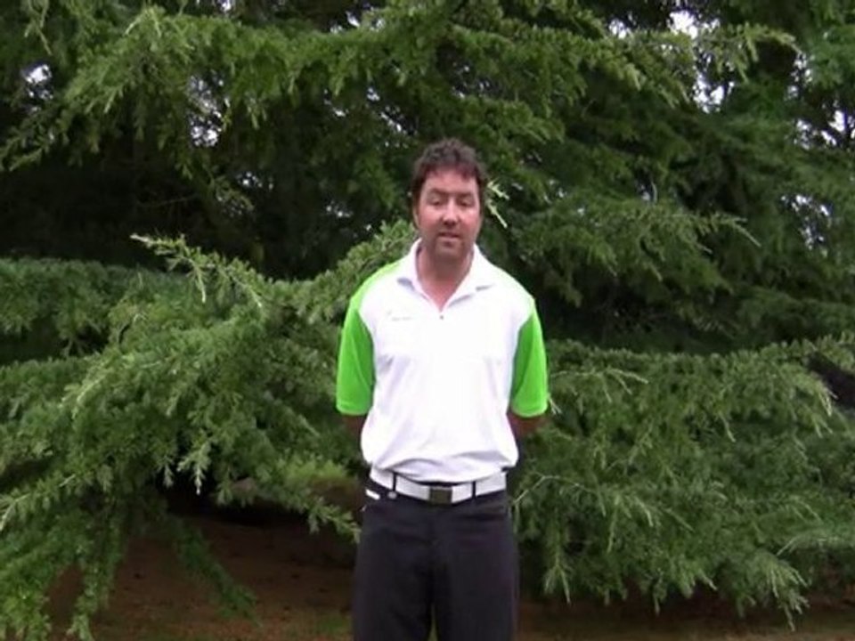 TheOnlineGolfCoach Intro