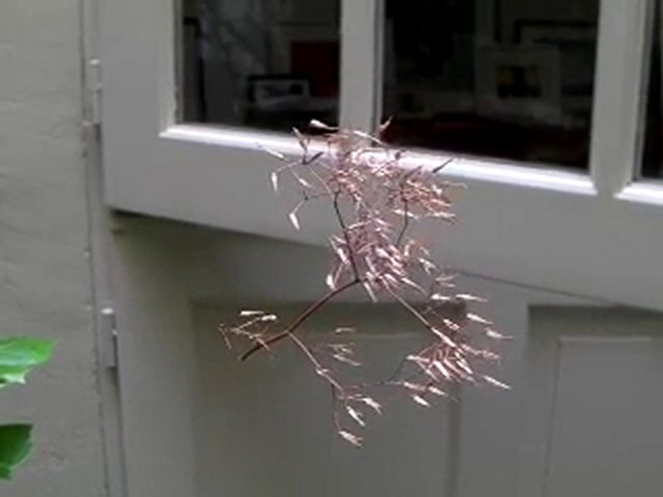 le centre de l'univers