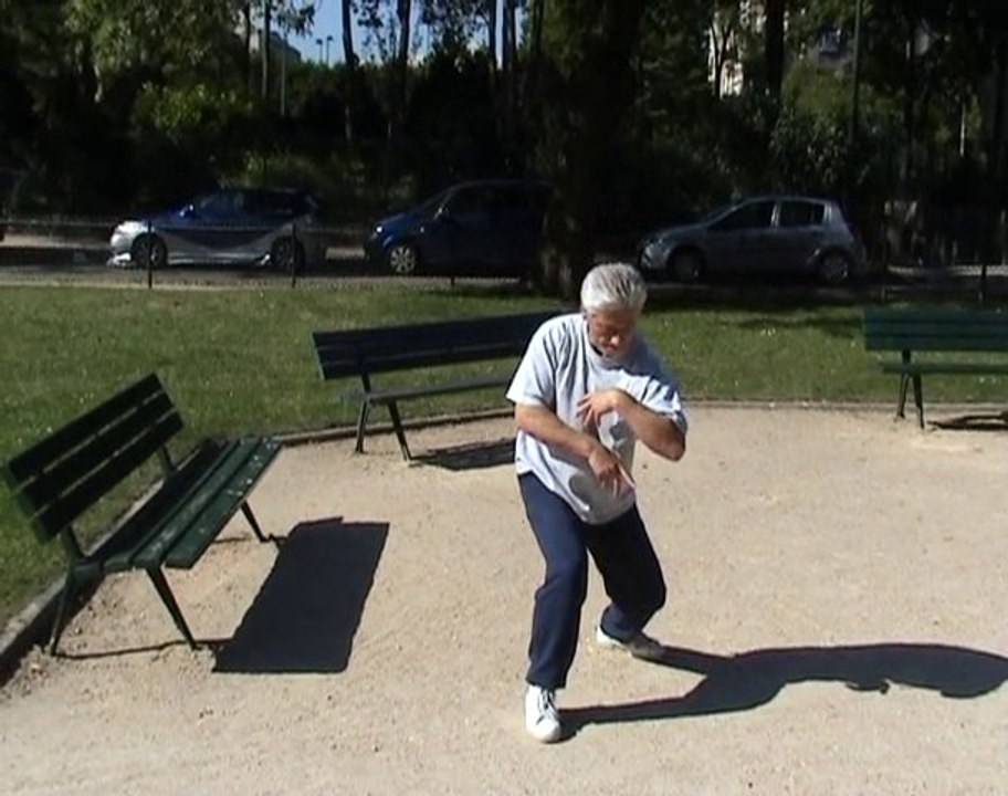 Tai Chi 28 mvts