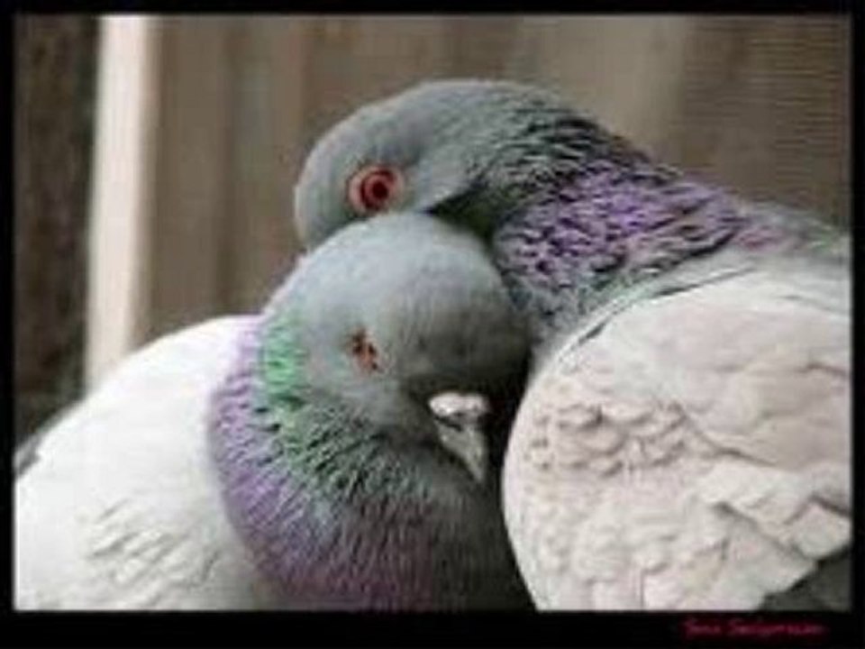 Hayatı Iskalama Lüksün Yok Senin