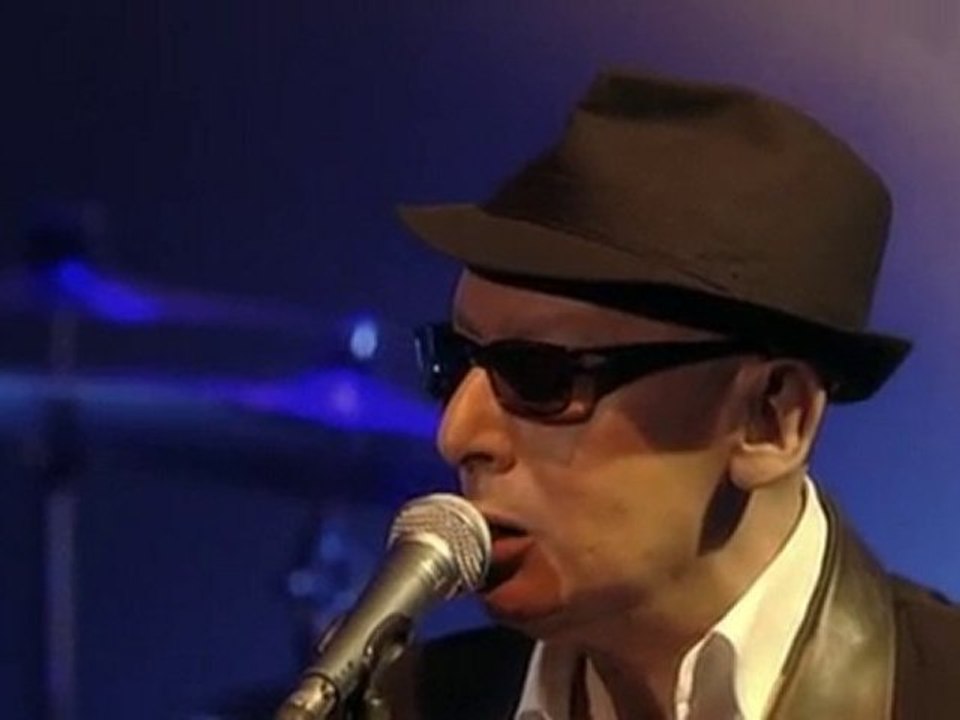 Alain Bashung - A perte de vue [Live]