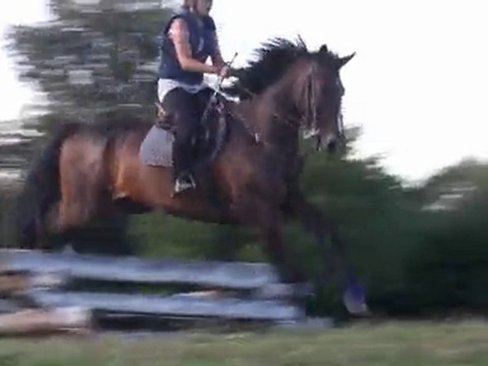 CoursCross20100815