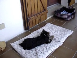 2010-13 & 17  AOUT- FILOU - PHOTOS -