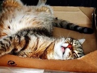 Jamais sans ma boite !