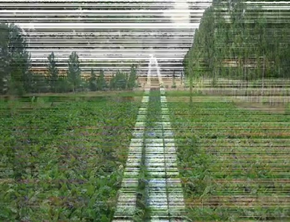 Sorgun Sarıhamzali köyü