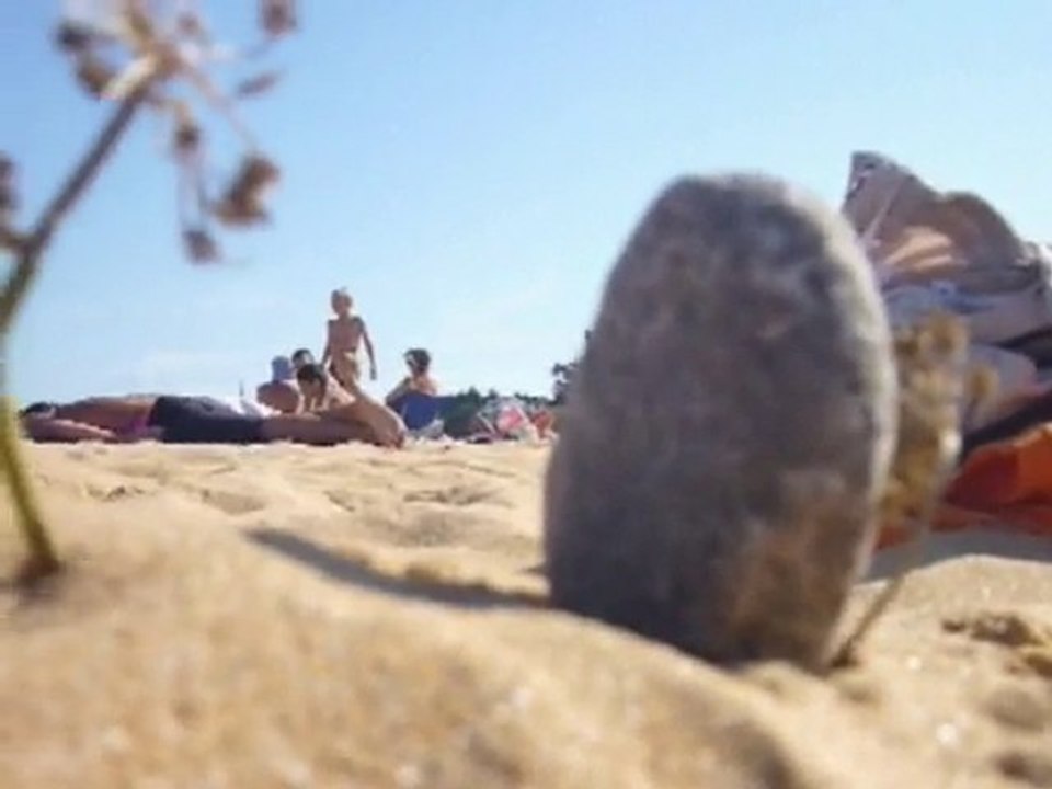 Avez-vous déjà vu ? Super-Plante