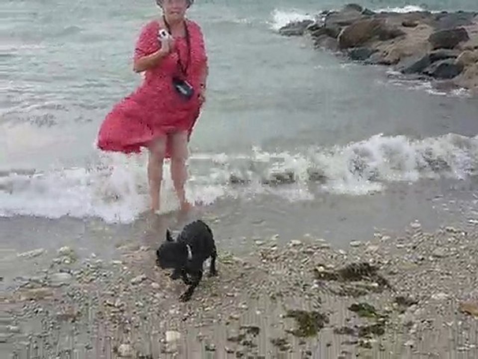 prune a la mer 3