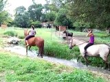 Ballade dans le ruisseau à cheval