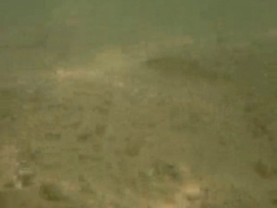 Trop gros ces poissons :D