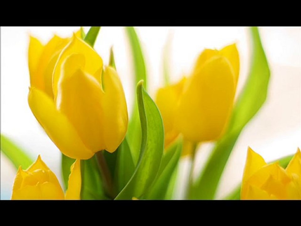 Richard Clayderman- We are the world