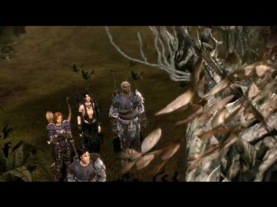 Dragon Age : Origins Walkthrough 25 Recherche du gland