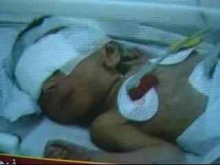 lebanon and palestine