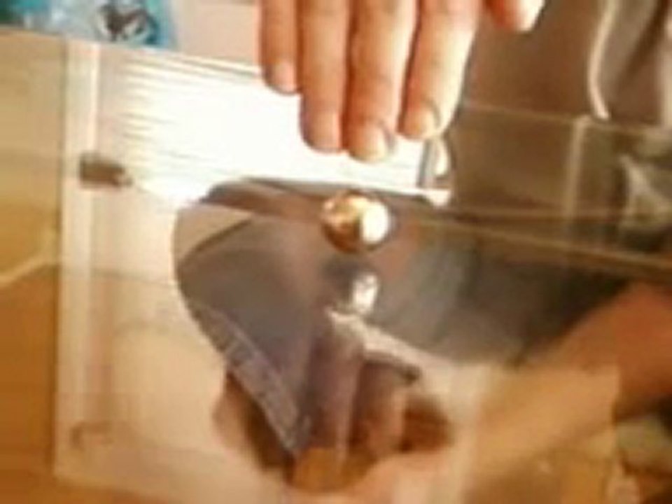 Magnetic Kinesis