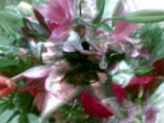 TUDO ACONTECE NA HORA CERTA